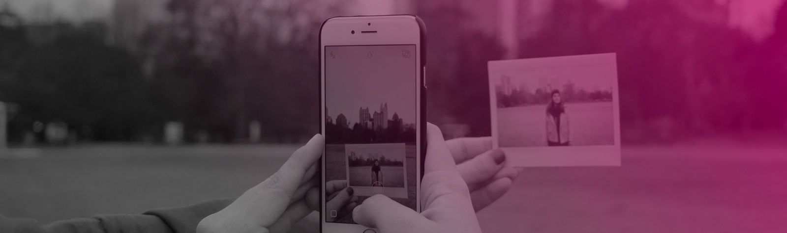 How to Embed Instagram Feed and Photos to Your Website