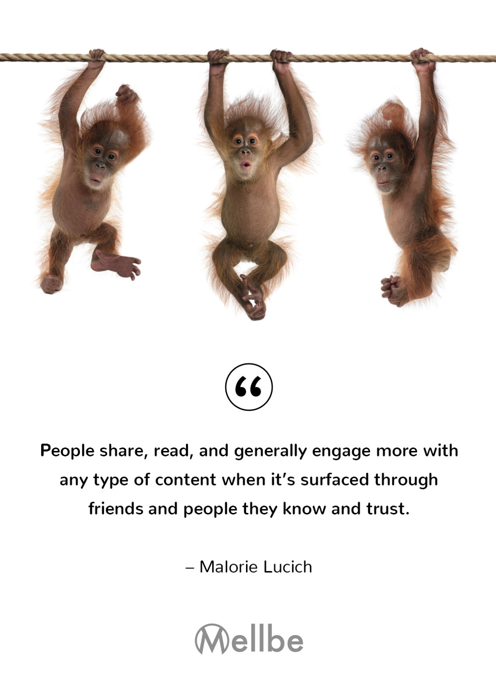 Content marketing quote